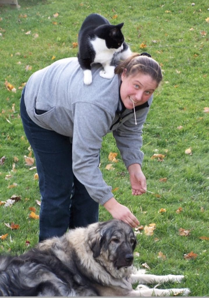 Robin swabbing dog's ear with cat on her back